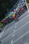 120445__VEG0399.jpg