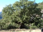 IMG_0557.JPG