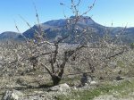 IMG_0939.JPG