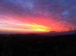 IMG_5446.JPG