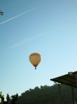 IMG_5282 (600x800).jpg