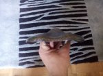IMG_20140504_161206.jpg