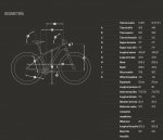 geometria.jpg