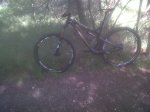 IMG-20140504-00136.jpg