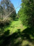 IMG_20140503_114742.jpg