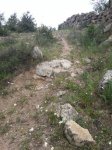 IMG-20140506-WA0001.jpg