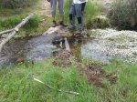 IMG-20140506-WA0002.jpg