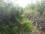 IMG-20140506-WA0009.jpg