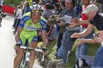 giro10_basso_animal.jpg