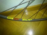 DSC_0026 (Copiar).JPG