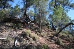 2014-05-04 069.JPG