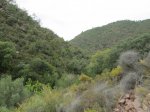 IMG_5535.JPG