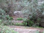 IMG_5545.JPG