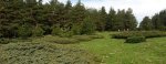20140506_113246.jpg