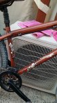 20140509_115931.jpg