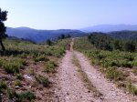 Imagen026.jpg