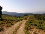 Imagen028.jpg