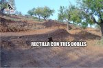 008bikfotos.jpg
