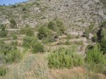 imagen 002_2.jpg