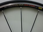 IMG-20140503-WA0007.jpg