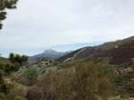 IMG_2499.JPG
