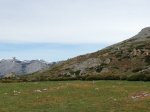 IMG_2503.JPG