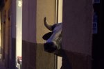 Cuidado, vaca espiando.jpg