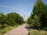 Pinar de la Elipa.jpg