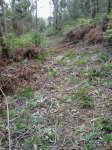 IMG-20140513-WA0013.jpg