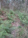 IMG-20140513-WA0012.jpg
