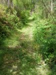IMG-20140513-WA0015.jpg