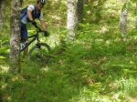 P5110018 (Copiar).JPG