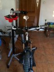IMG_1033.jpeg