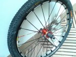 20140509_113558.jpg
