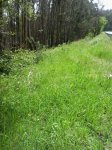 IMG-20140513-WA0011.jpg
