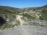 20140501_104412.jpg