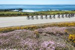 atoc14st4_Flowers_Coast.jpg