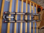 DSC01010.JPG