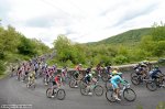 124524_PIC461247442.jpg
