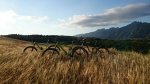IMG-20140516-WA0001.jpg