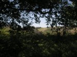 PICT0009.JPG