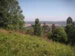 PICT0011.JPG