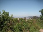 PICT0017.JPG