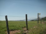 PICT0049.JPG