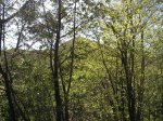 PICT0055.JPG