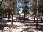 37-MOV01841.jpg