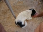 43-DSC01847.jpg