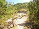 DSCN0970.JPG
