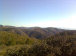 Imagen2901.jpg