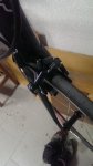 IMAG1381.jpg